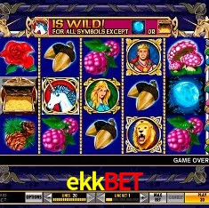 ekkbet Belo Horizonte - Reivindique Bonus